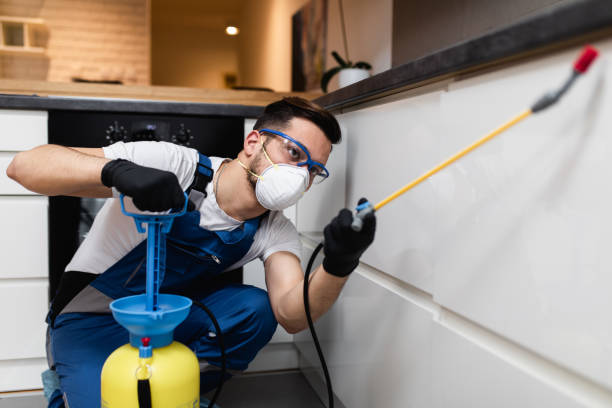 Best Mosquito Control Services  in Atherton, CA