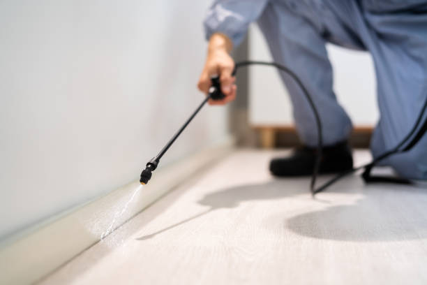 Best Local Pest Control Services  in Atherton, CA