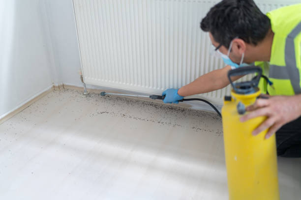 Best Emergency Pest Control  in Atherton, CA